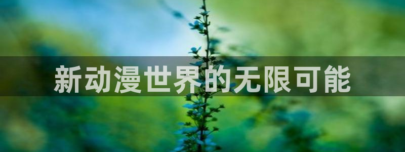 动漫热门推荐：新动漫世界的无限可能