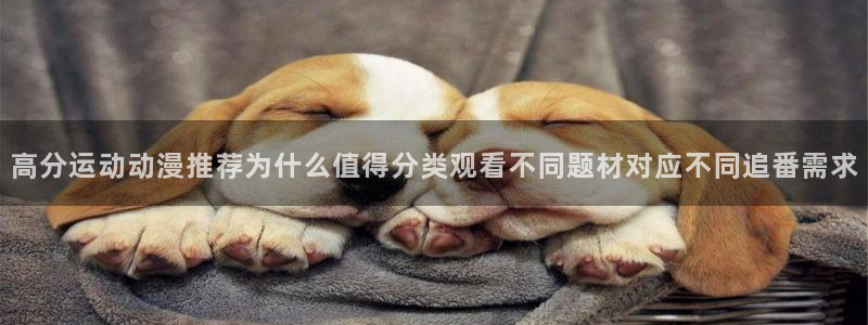 热门动漫网站：高分运动动漫推荐为什么值得分类观看不同题材对应不同追番需求